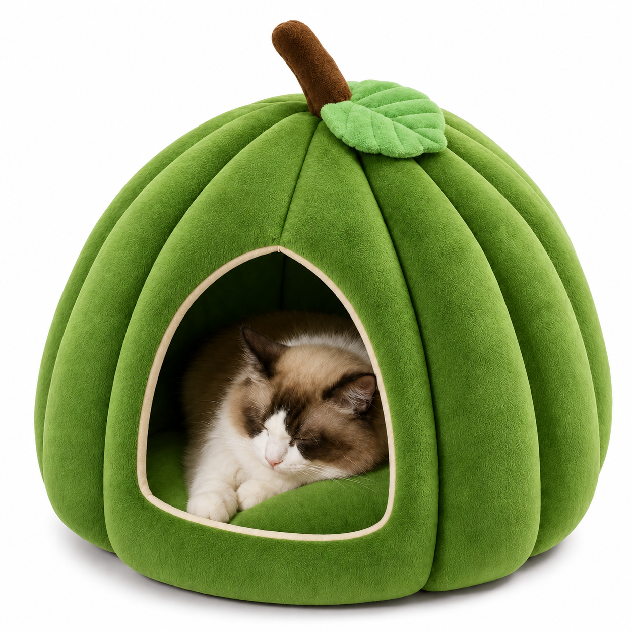 Patch Pumpkin Cat Bed — Green